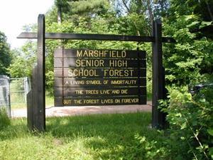 school forest sign
