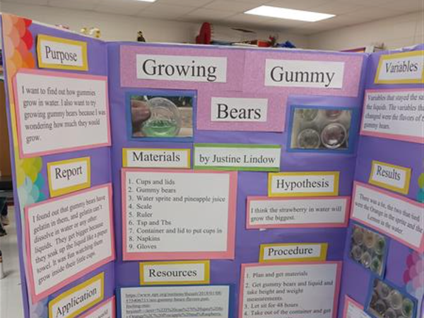 Gr. 5 - Science Fair