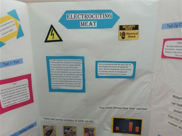 Gr. 5 - Science Fair