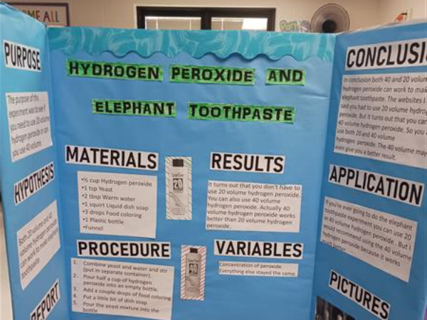 Gr. 5 - Science Fair
